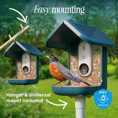 BirdyCam Mangiatoia Con Fotocamera Solare - Riprese HD Uccelli E Animali Da Giardino Con Rilevamento Movimento - Foto 2