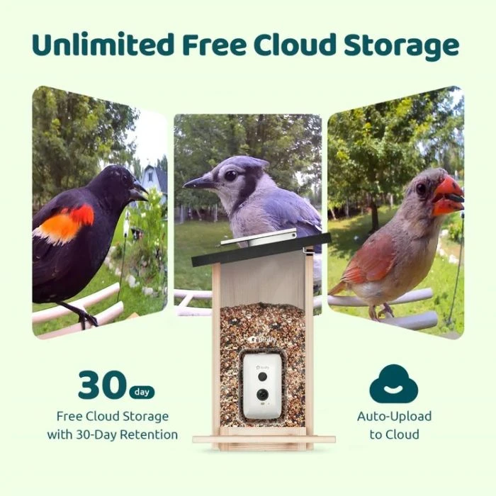 BIRDKISS S1 Mangiatoia per uccelli intelligente completamente in