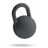 Bala 4,5 kg (10 lb) Il kettlebell in carbonio sticky