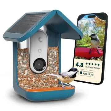 Bird Buddy - Mangiatoia Intelligente per Uccelli Blu con Pannello Solare Pro
