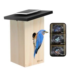 Birdfy - Casetta Intelligente per Uccelli Ebony Lite - Alimentata a Energia Solare con Fotocamera e Riconoscimento AI