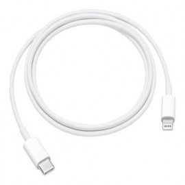 Apple - Cavo di ricarica - Lightning USB-C (1,00 m)