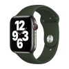 Apple Sport Band - Cinturino per Apple Watch 38mm / 40mm - Cyprus Green