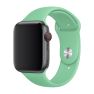 Apple Sport Band - Cinturino per Apple Watch 38mm / 40mm / 41mm / 42mm - Spearmint sticky
