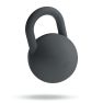 Bala 4,5 kg (10 lb) Il kettlebell in carbonio sticky