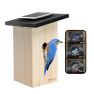 Birdfy - Casetta Intelligente per Uccelli Ebony Lite - Alimentata a Energia Solare con Fotocamera e Riconoscimento AI sticky
