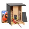 Birdfy - Mangiatoia Intelligente per Uccelli in Bambù - Alimentata a Energia Solare con Fotocamera e Riconoscimento AI sticky