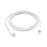 Apple - Cavo Lightning - USB-C - 2 metri sticky