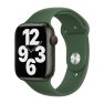 Apple Sport Band - Cinturino per Apple Watch 38mm / 40mm / 41mm - Clover sticky