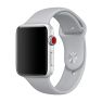Apple Sport Band Apple Watch 42mm / 44mm / 45mm / 49mm Fog sticky
