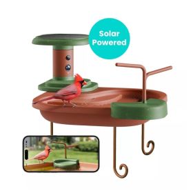 Birdfy Birdbath Jolly V Lite - vasca per uccelli intelligente con telecamera e riconoscimento AI