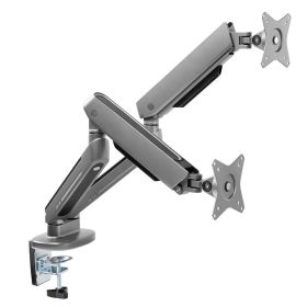 Ranqer - Supporto per monitor Pro RGB con braccio doppio - Space Gray